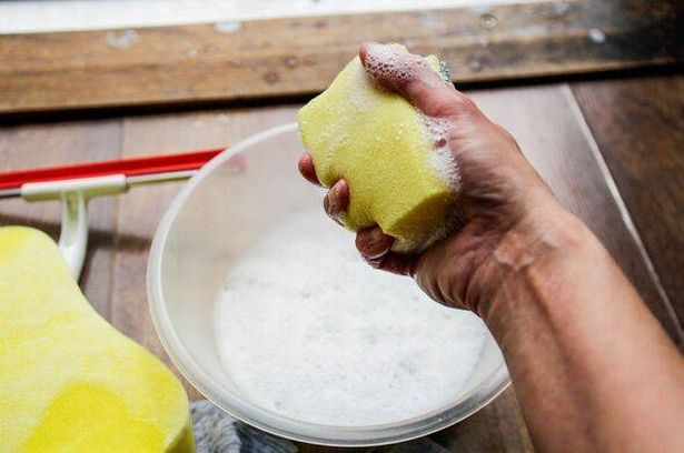 Cleaning sponge