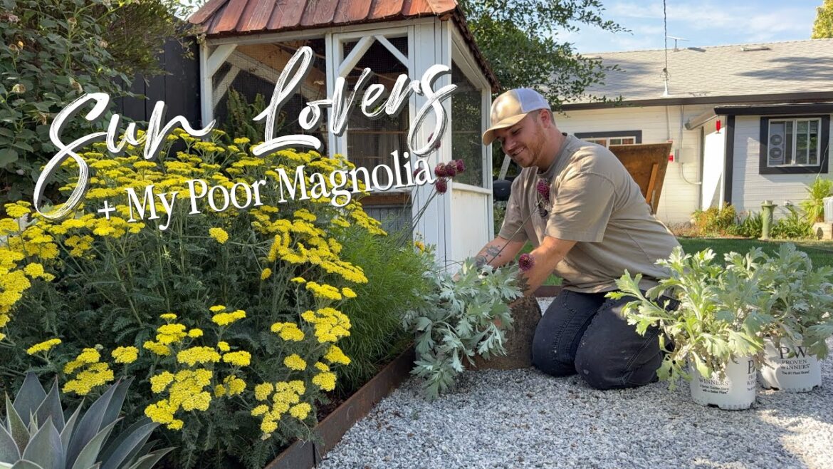 Planting a Ton of Perennials…Then The Wind Ruined My Day 🪴|| Visit Our Garden