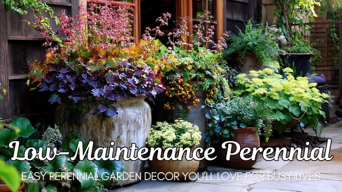 Low Maintenance Perennial Garden Design for Busy Lives | Effortless Garden Charm 🌿 Low Maintenance Perennial Garden Design for Busy Lives | Effortless Garden Charm 🌿
