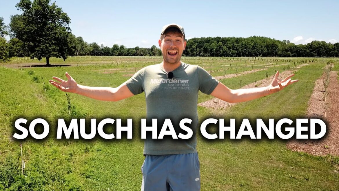 The SHOCKING 6 Month Farm Transformation