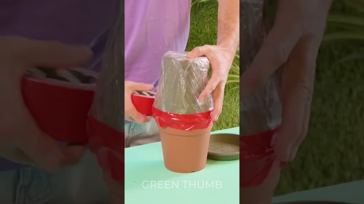 Behind-the-Scenes: Garden Hacks Debunked 🌷