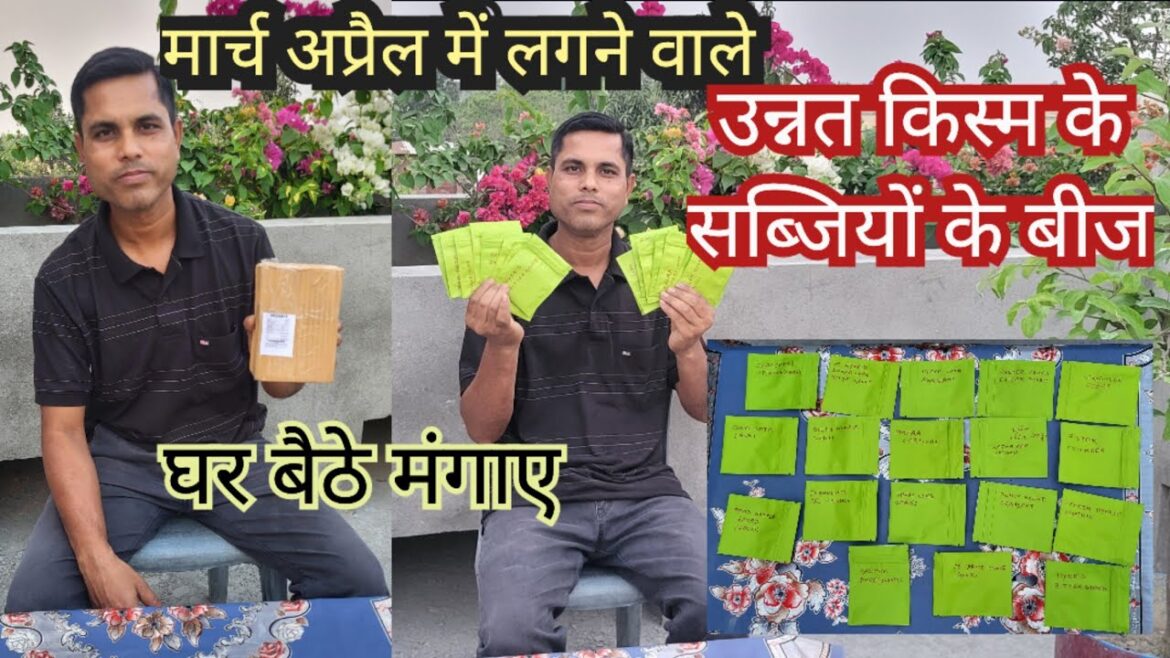 Hybrid Vegetable Seeds Online Shopping | March – April Vegetables Seed | Seeds for kitchen Gardening Hybrid Vegetable Seeds Online Shopping | March - April Vegetables Seed | Seeds for kitchen Gardening