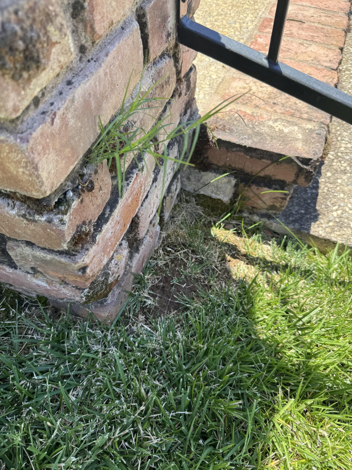 Can’t get this corner to fill in, but the lawn on my bricks are coming in nicely