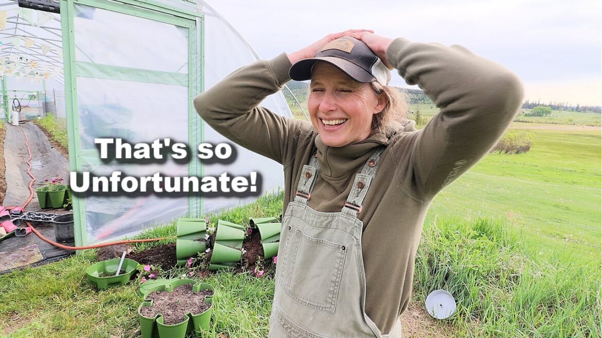 Well THAT Didn’t Go as Planned… | GreenStalk Planting Tips + Container Gardening Do’s & Don’ts Well THAT Didn’t Go as Planned… | GreenStalk Planting Tips + Container Gardening Do’s & Don’ts