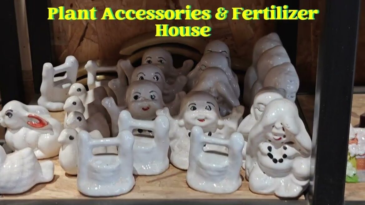 Best Gardening Tools | Organic Fertilizers | Seeds | The World Of Plants | Your One-Stop Garden Shop Best Gardening Tools | Organic Fertilizers | Seeds | The World Of Plants | Your One-Stop Garden Shop