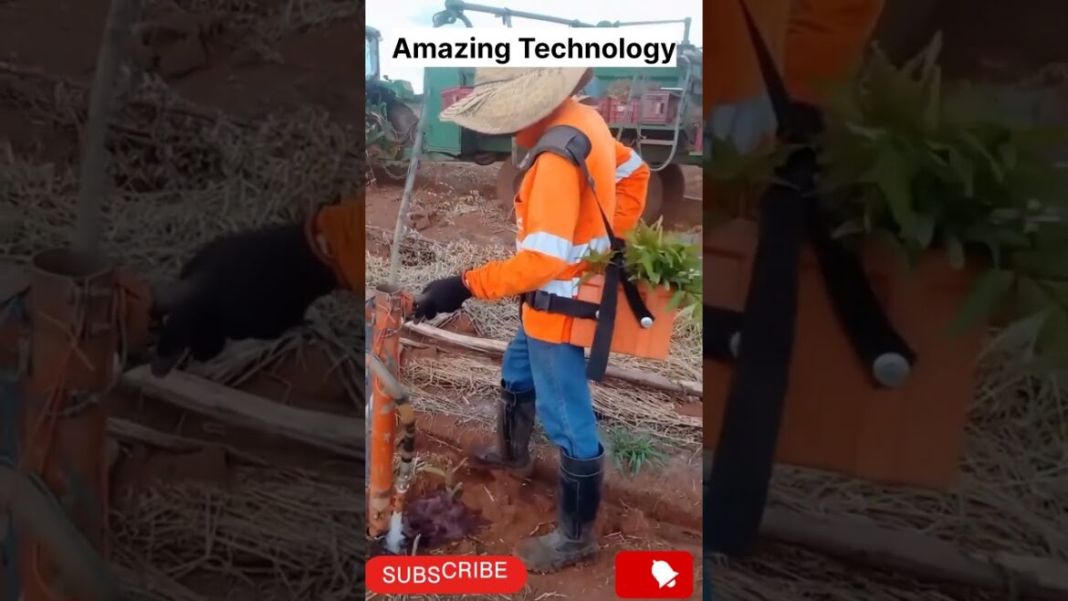 Agriculture | Farming #sorts #virul #virulsorts #trending #india #china #Satisfying #krushi Agriculture | Farming #sorts #virul #virulsorts #trending #india #china #Satisfying #krushi