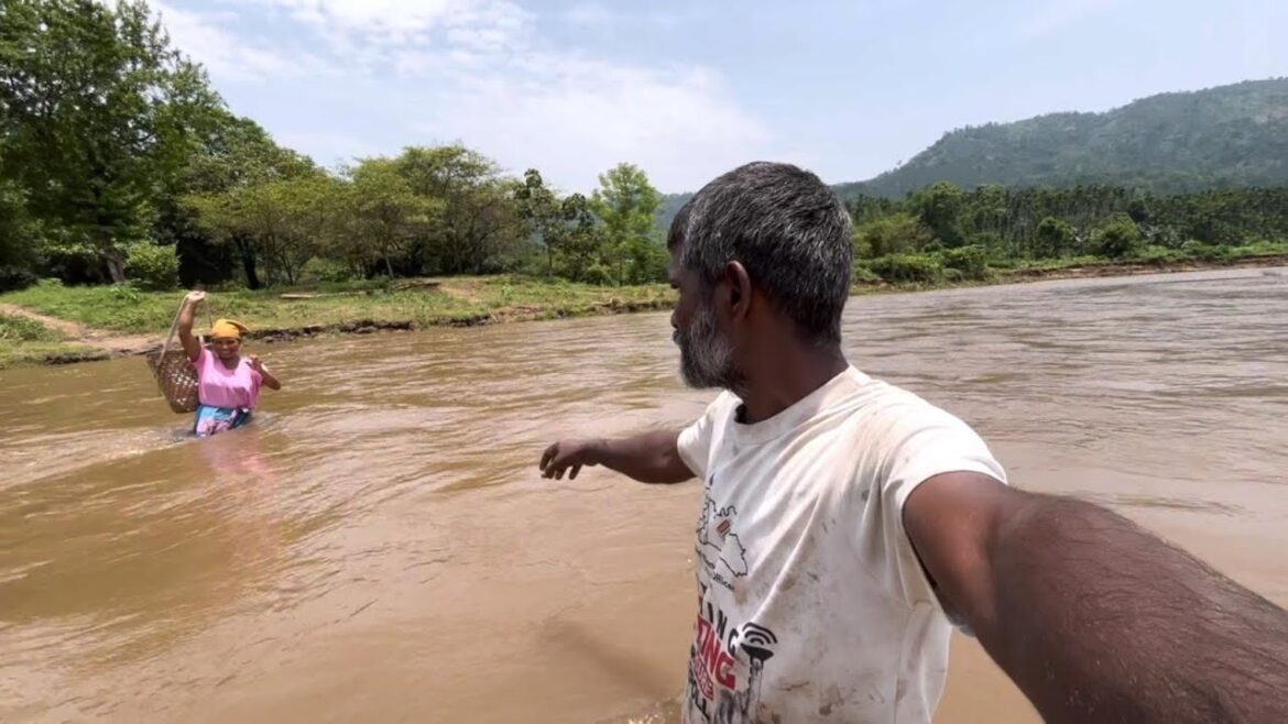 Long Beans Bajar Ka Dukaan Per Bikri Kar Diya | vegetable gardening vlogs Long Beans Bajar Ka Dukaan Per Bikri Kar Diya | vegetable gardening vlogs