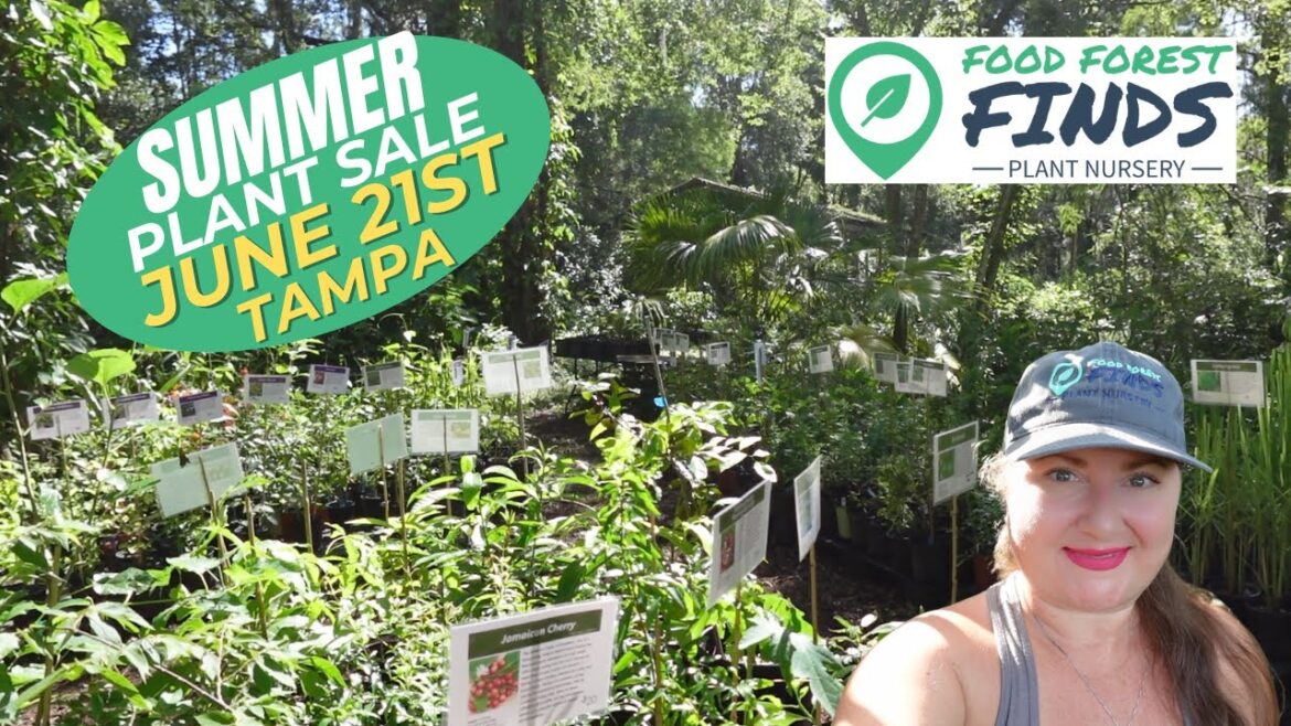 Edible Plant Sale in Tampa! Huge Selection from Our Food Forest Nursery | June 21 Edible Plant Sale in Tampa! Huge Selection from Our Food Forest Nursery | June 21