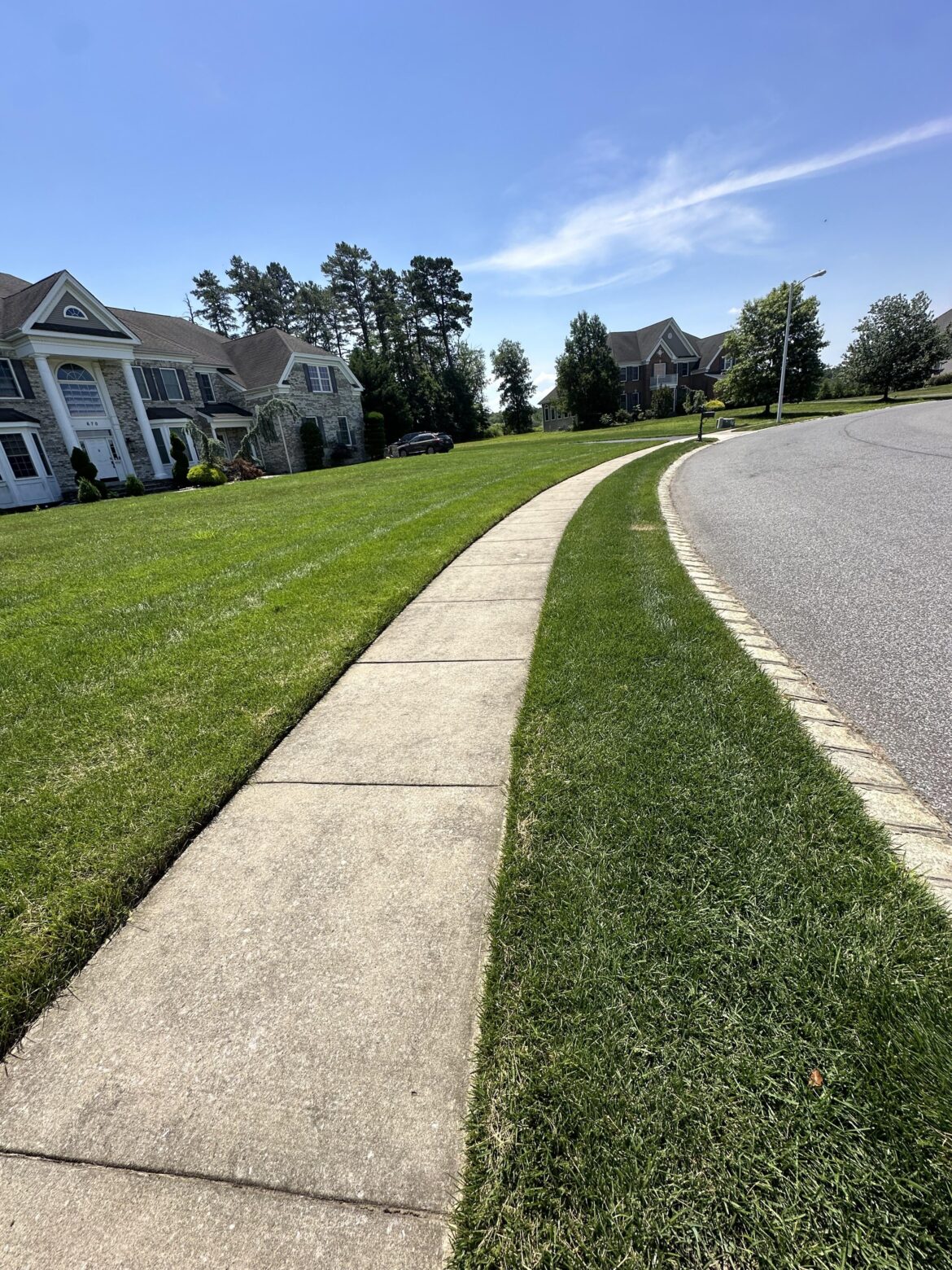 Quality of seed truly does matter