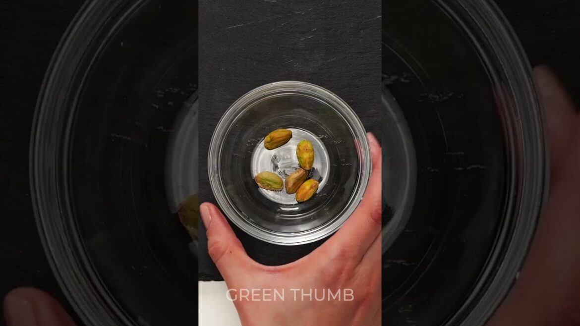 The Best Gardening Hacks for Small Spaces