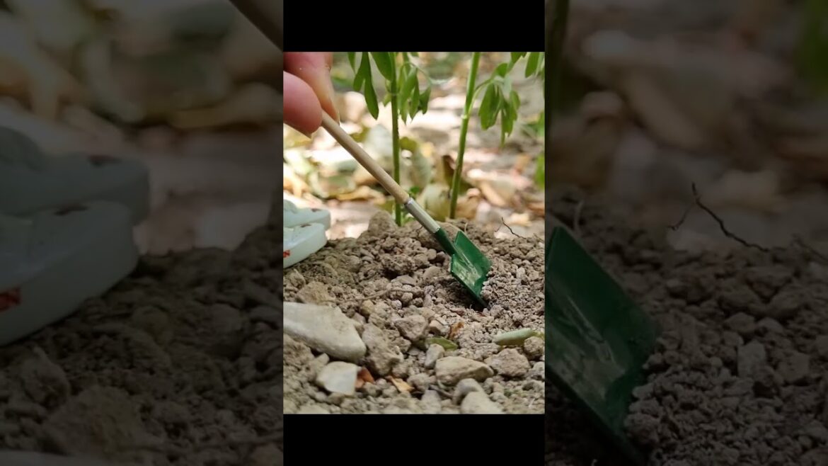 Little Hands, Green Plans #fingerlife #miniaturelife #tinyworld #gardening #miniaturetrees #shorts