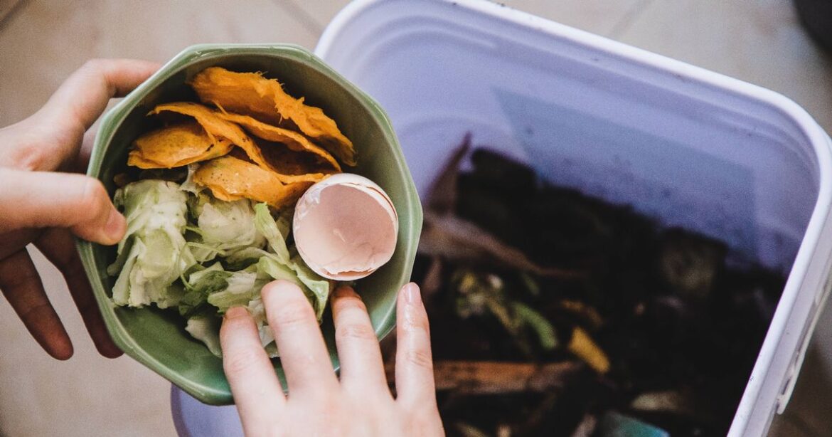 I put 20p kitchen scrap in compost to help my plants grow – it also deters rats Ipso logo
