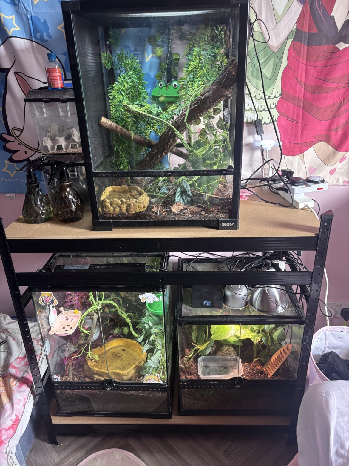 vivarium shelves vivarium shelves