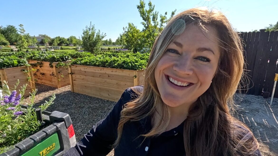Rooting Strawberry Runners & Planting a Chaste Tree, a New for 2026 Buddleia & Agastache! 🍓🌿🦋