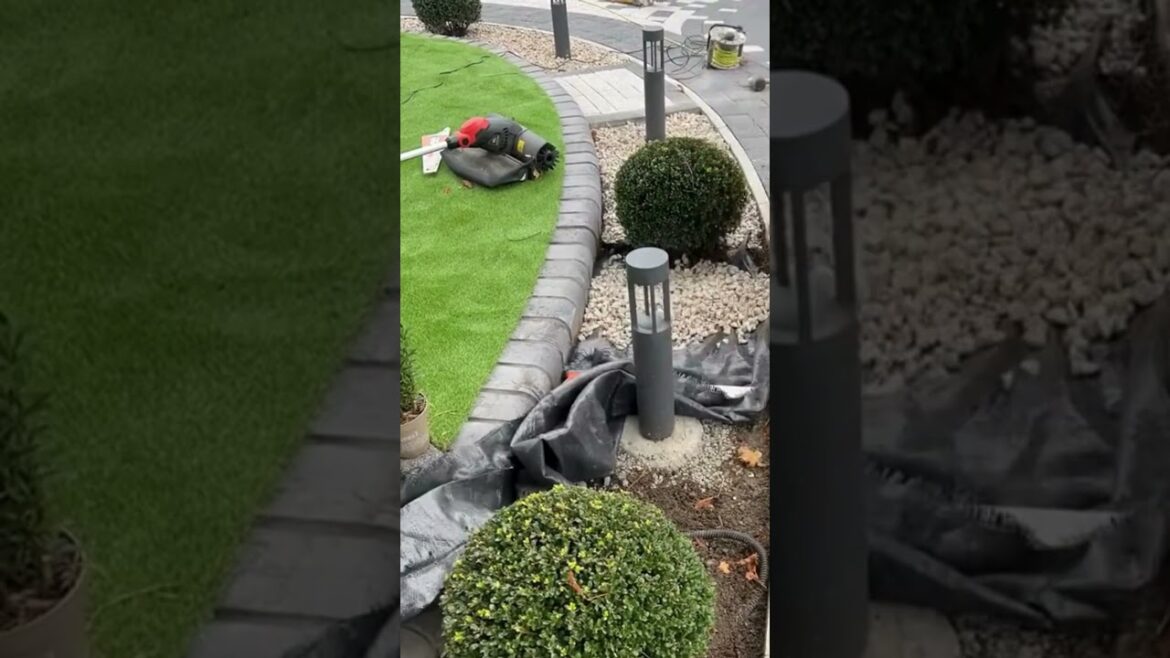 5 Edgy Landscaping IDEAS to Reclaim Your Yard