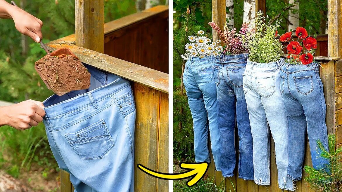 Upcycling Old Clothes into Garden Decor: Best Out of Waste Ideas for Plants 🌱