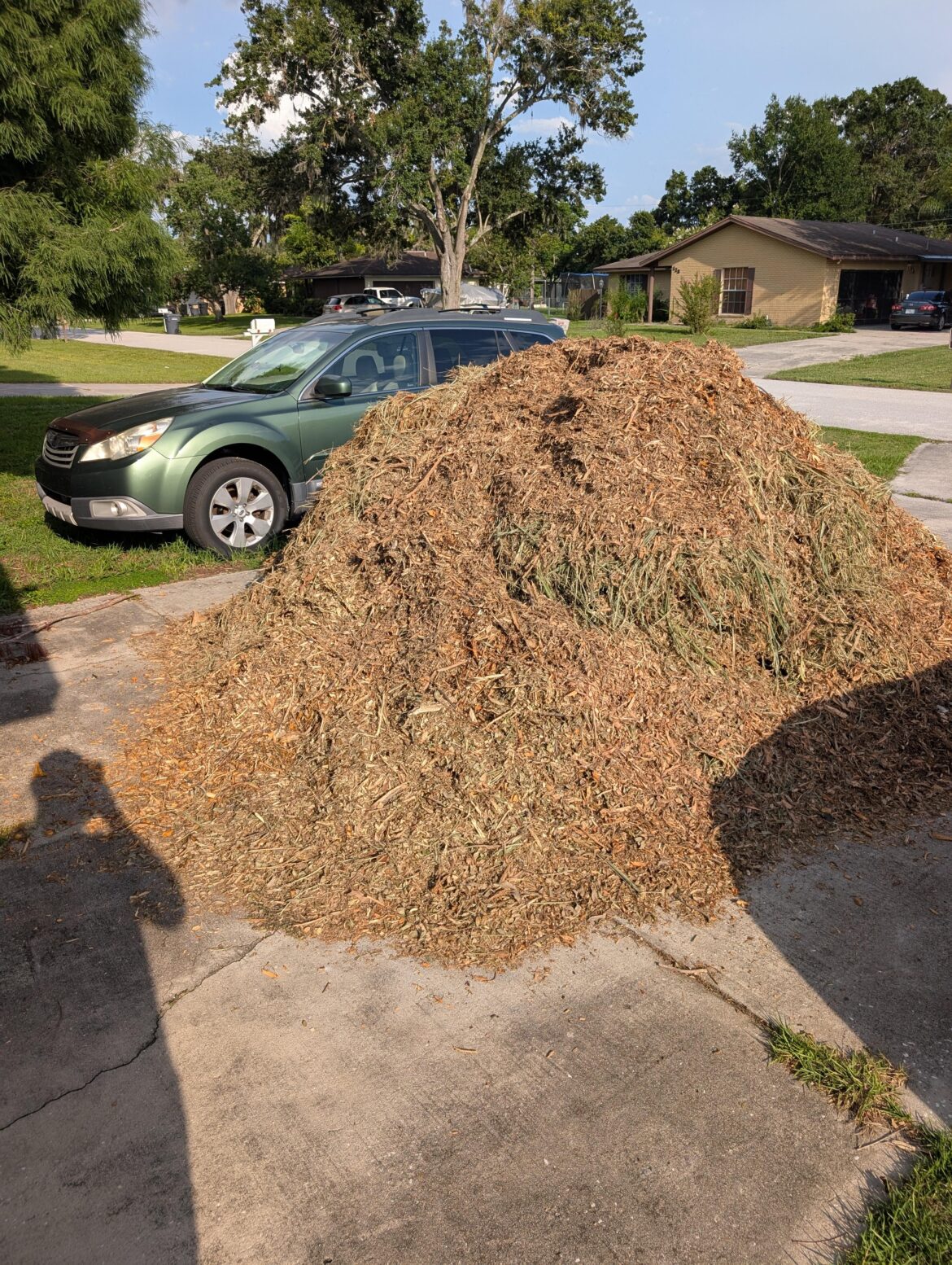 Who wants to help me kill some grass?