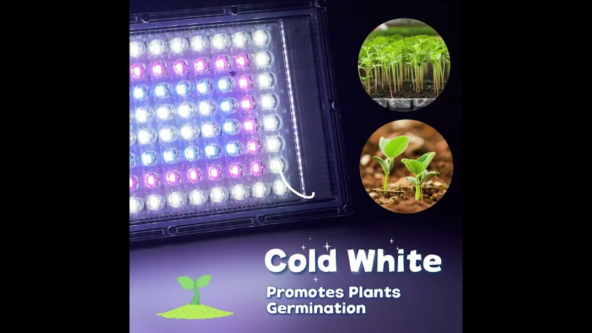 Easy Seedling Growing lights