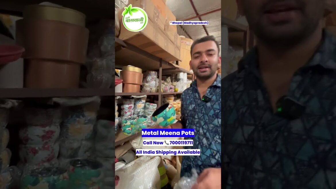 Metal Meena Pots for Indoors 👌🪴 #terracegardenindia #gardendesign #gardeninglovers Metal Meena Pots for Indoors 👌🪴 #terracegardenindia #gardendesign #gardeninglovers