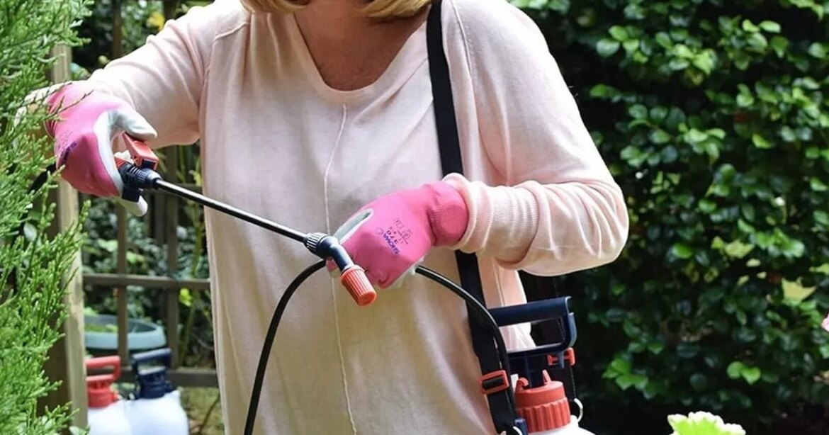 Top pressure sprayer hailed a ‘trusty sidekick’ for gardening jobs is £12 in Amazon sale Ipso logo
