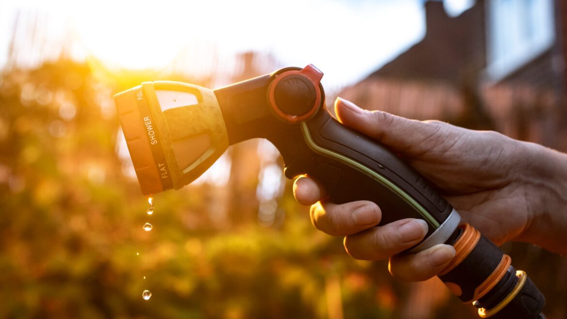 Gardeners told not to mow lawns this weekend as hosepipe bans are put in place across the UK