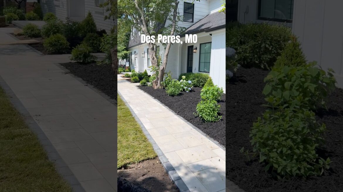 Front yard Renovation #gardendesign