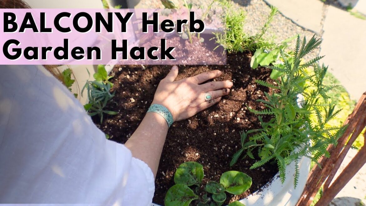 Container Garden Magic: Tea + Snacks From One Pot