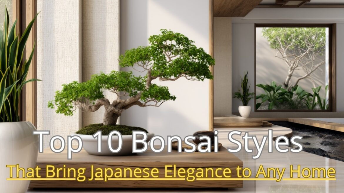 The Art of Bonsai: Timeless Japanese Garden Ideas for a Peaceful Home