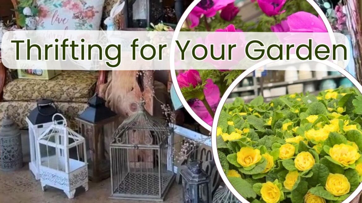 Thrift with Me for Cottage Garden Decor and Plant Shopping!