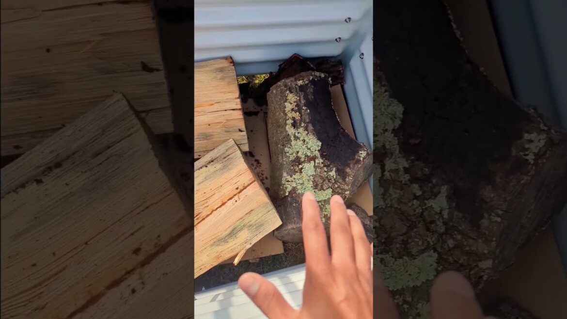 Cheapest Way To Fill Raised Garden Beds ! #organic #gardening #garden #viral2024