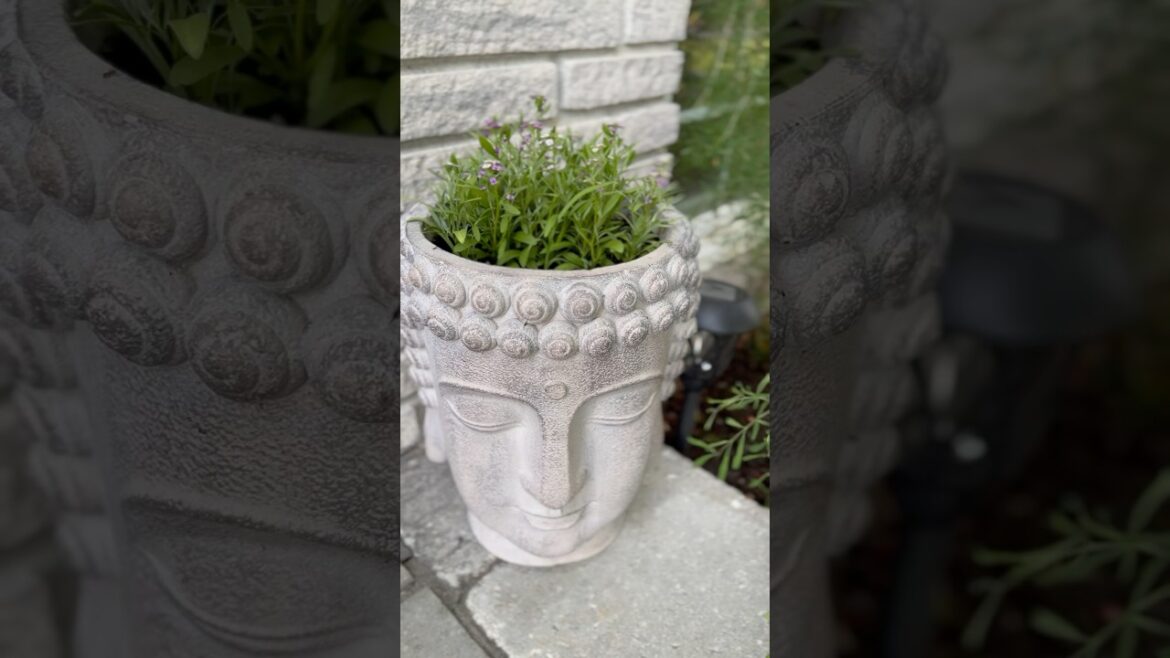 Gardening ๐งโ๐พ #shorts #fyp #summer #flowers #fortnite Gardening ๐งโ๐พ #shorts #fyp #summer #flowers #fortnite