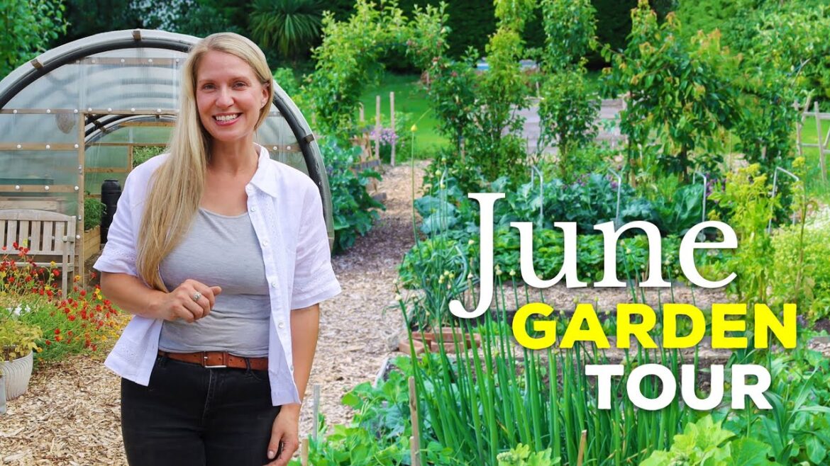 June Garden Tour 🌿 Organic Vegetable Garden
