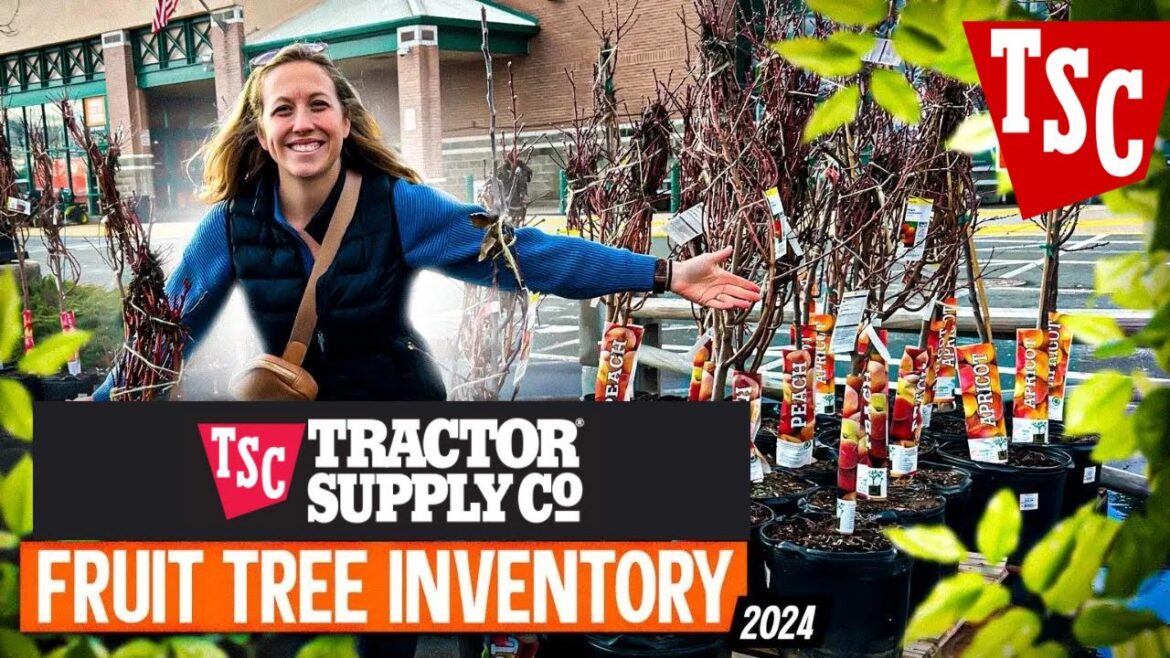 UNVEILING SPRING: Tractor Supply's Spring Fruit Tree Collection!