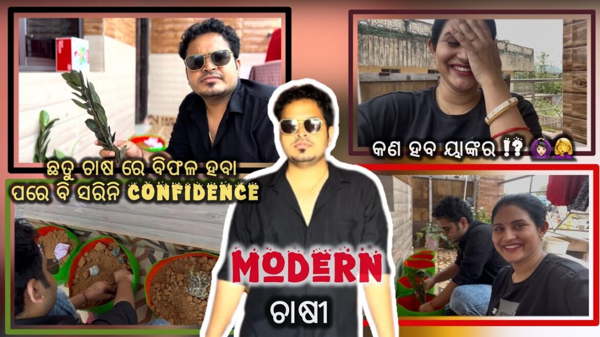 ଛତୁ ରେ FAIL , ଟମାଟୋ ରେ BACK | Sradha Sandeep Home Garden tour ଛତୁ ରେ FAIL , ଟମାଟୋ ରେ BACK | Sradha Sandeep Home Garden tour
