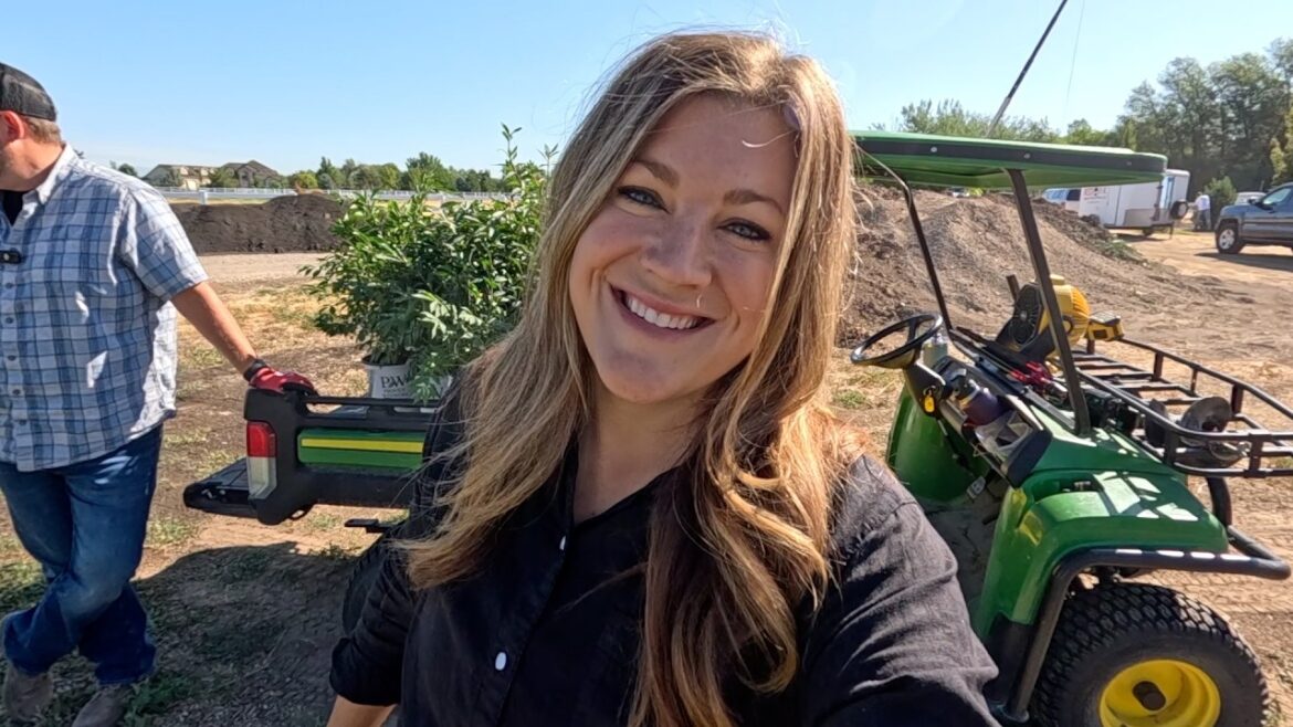 Planting 10 Burning Bushes, 2 Serbian Spruce Trees & Cutting Sunflowers! 🌿🌲🌻 // Garden Answer