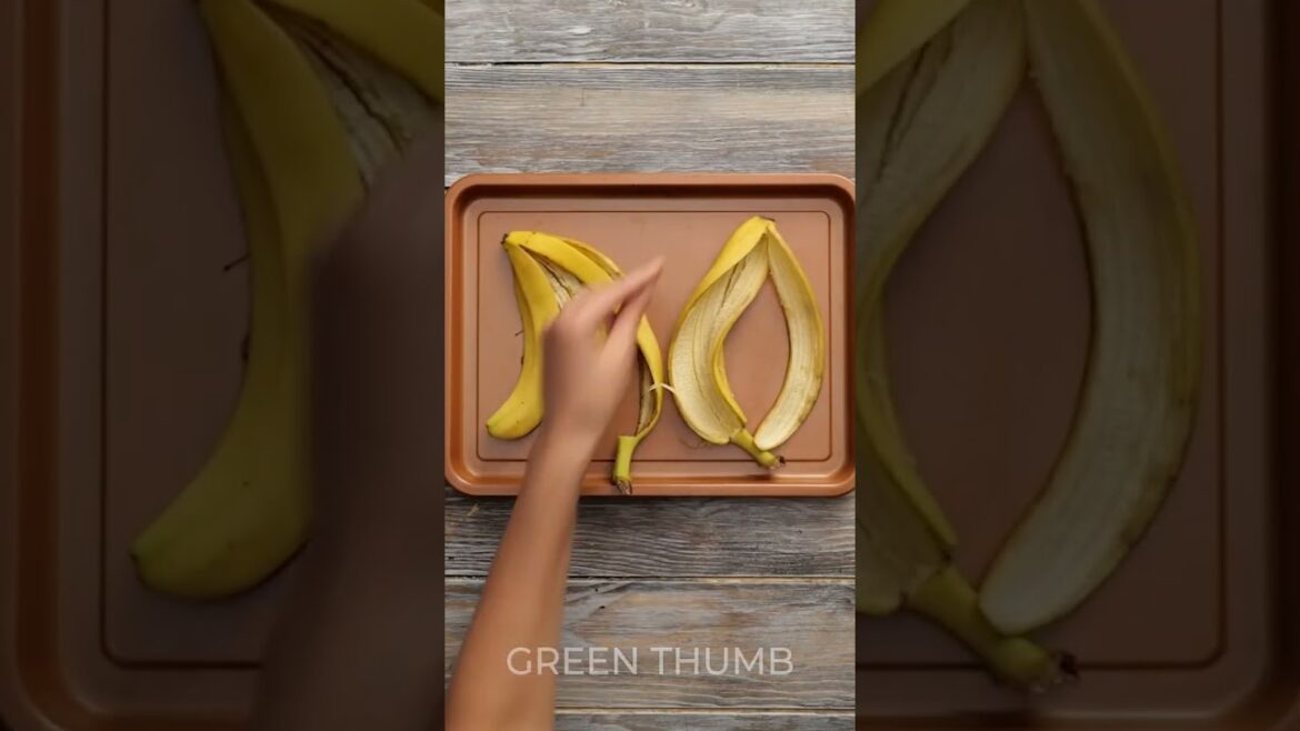 Super Simple Growing Tricks that WORK WELL🌱 Super Simple Growing Tricks that WORK WELL🌱