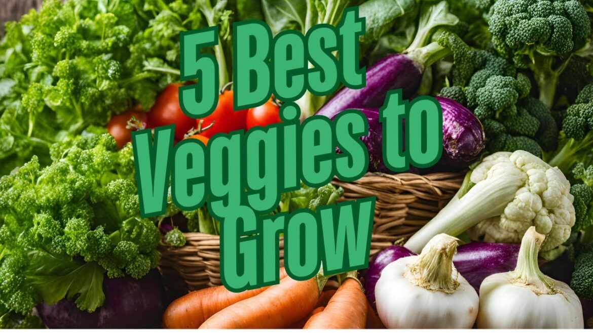 5 Best Vegetables to Grow in Your Backyard  Easy Gardening Tips!
