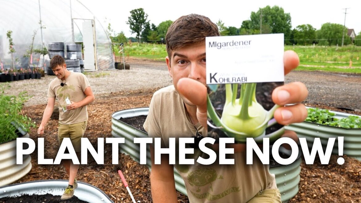 Every Crop We Are Planting Now in JULY!