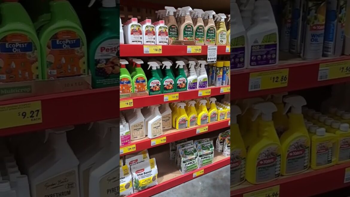 #Bunnings Warehouse  tools,building materials,gardening supplies,home improvement products#melbourne