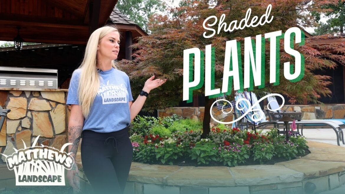 Great Plants for Shaded Flower Beds