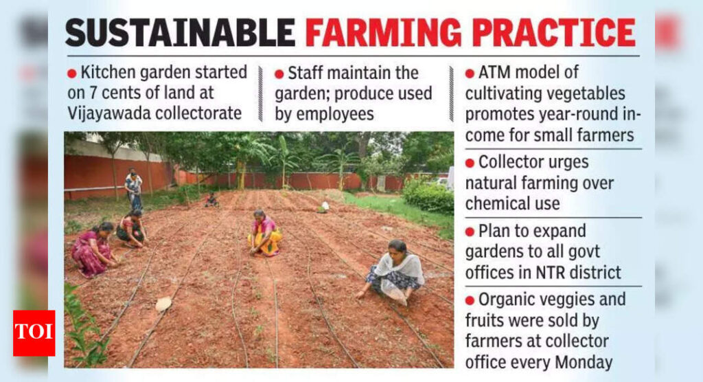 NTR district administration undertakes kitchen gardening in government offices | Vijayawada News