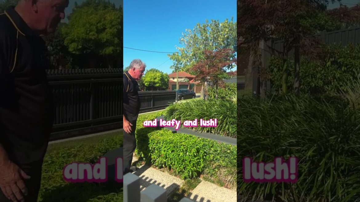 This is How to Do a Front Garden Right.๐ This is How to Do a Front Garden Right.๐