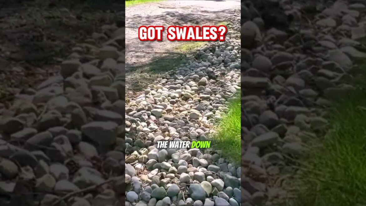 Ditch the Soggy Yard: Dry Creek Beds for Drainage & Beauty