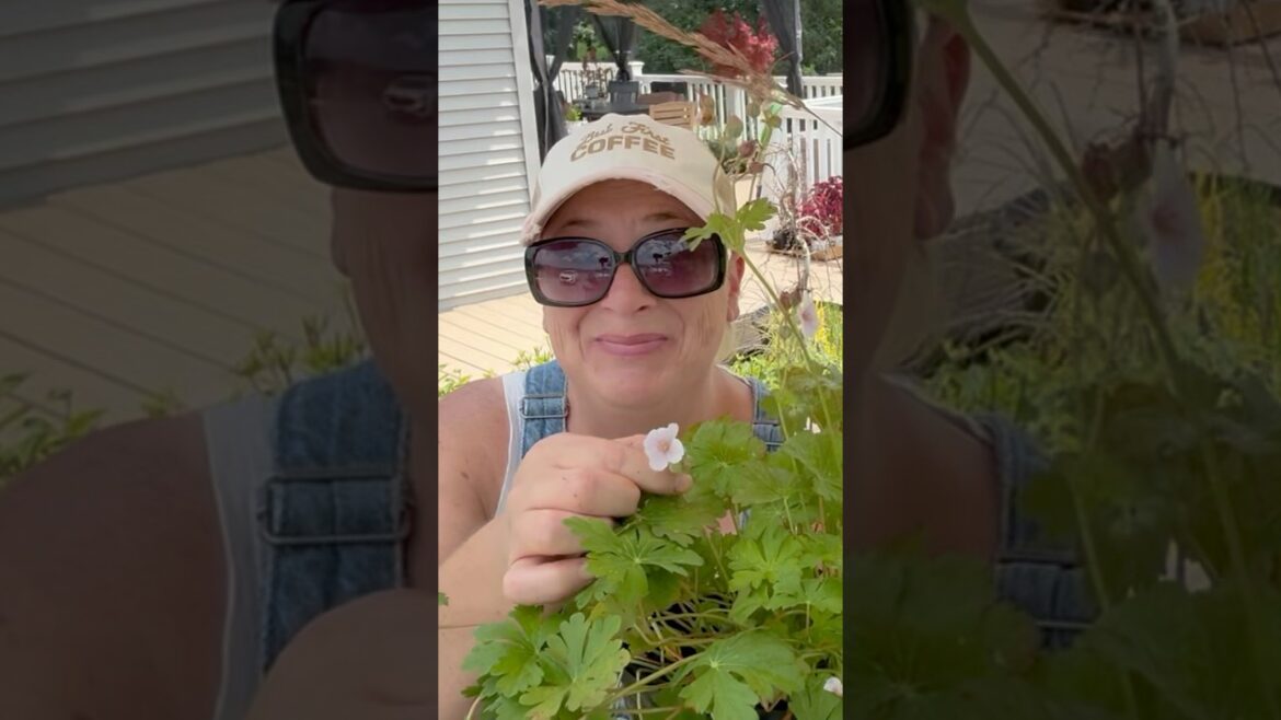 Tip to Keep Your Plants Healthy in Nursery Containers!