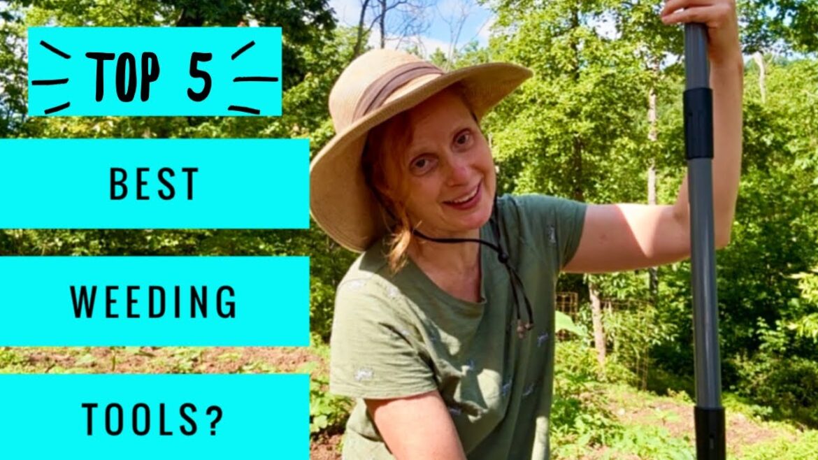 Weeding Tools We Love & Trying Out Some New Tools Weeding Tools We Love & Trying Out Some New Tools