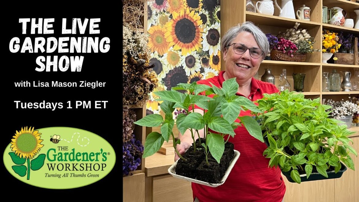 Live Gardening Show with Lisa Z!