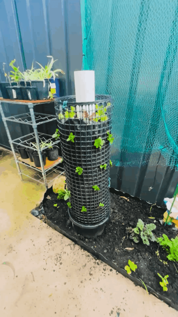 Strawberry Tower Experiment | Will This Vertical Garden Work? 🍓🌿