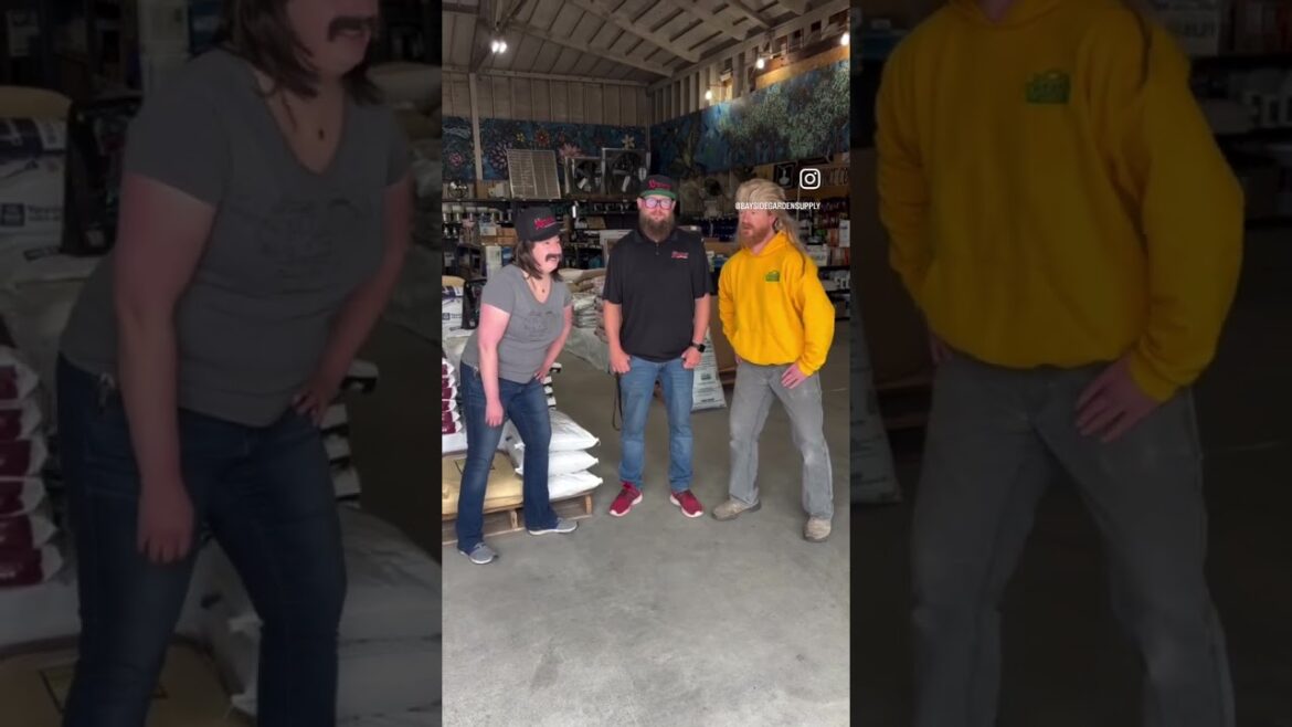 Bayside Brothers - Xtreme Gardening