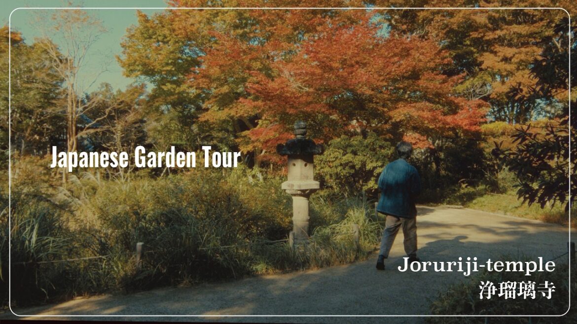 (VLOG) A 900-year-old Japanese garden. I went to see the garden at Joruri-ji Temple. (VLOG) A 900-year-old Japanese garden. I went to see the garden at Joruri-ji Temple.