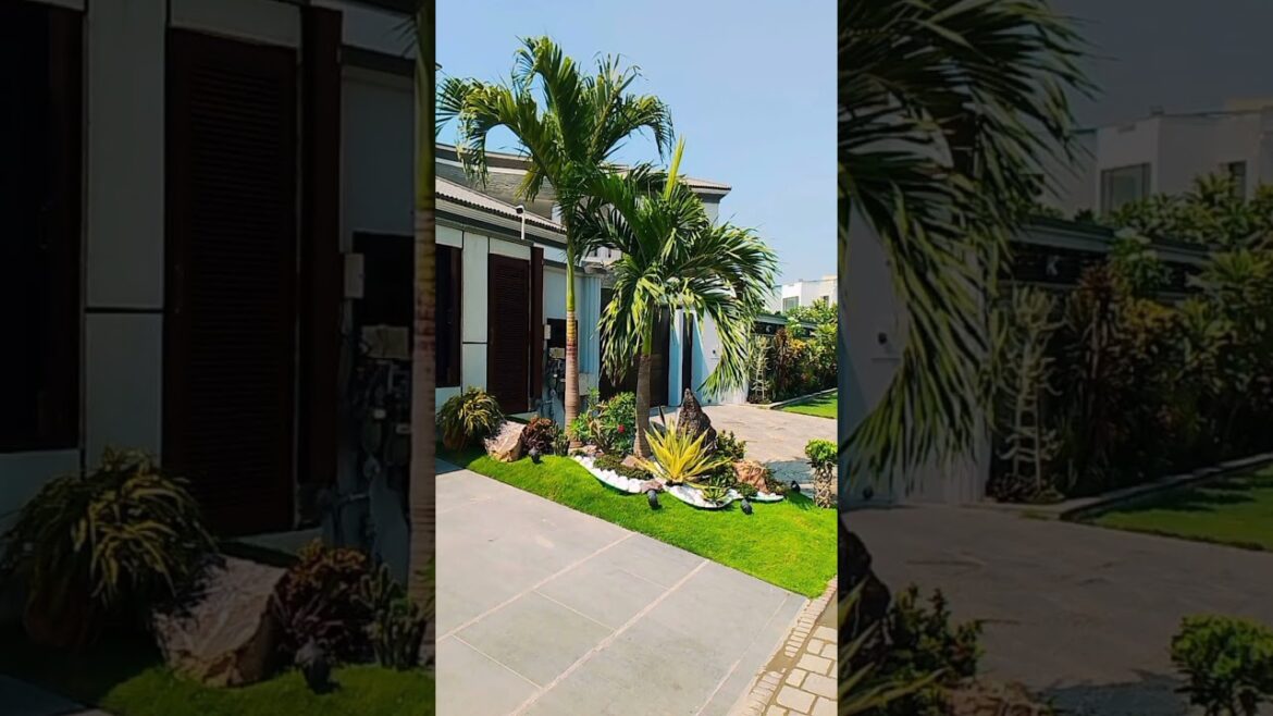 Creative Gardening Ideas For Small Spaces Creative Gardening Ideas For Small Spaces